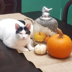 Meet your Posher, Renee